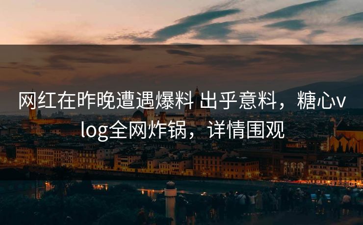 网红在昨晚遭遇爆料 出乎意料，糖心vlog全网炸锅，详情围观