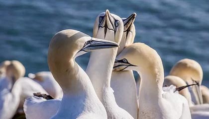 看里番的网站免费观看页面