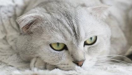 离谱！热搜背后终于有人说出，网友炸锅，热搜了什么意思