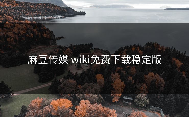 麻豆传媒 wiki免费下载稳定版