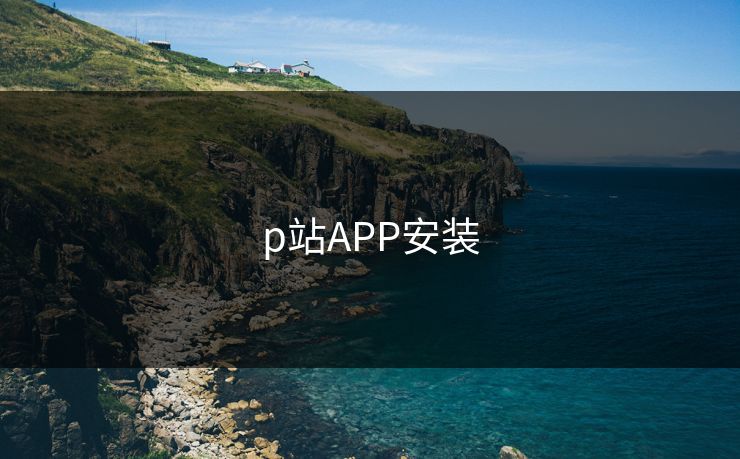 p站APP安装